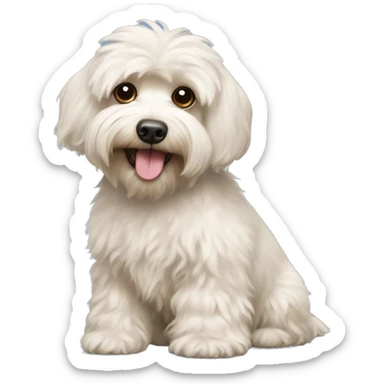 Havanese poodle mix sticker