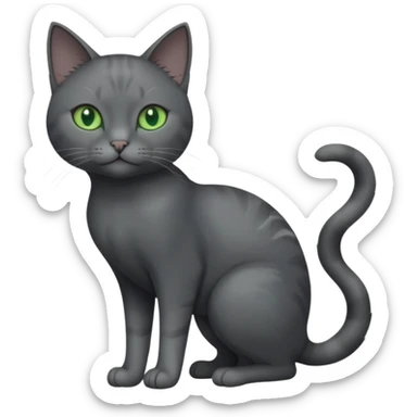 full body view of beautiful female solid dark grey cat with green eyes, grey face, white toes/paws and white patch on her chest sticker