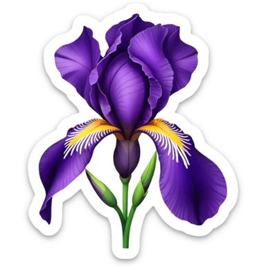 Iris flower sticker