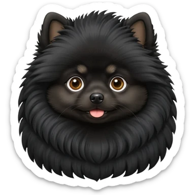 Dog black Pomeranian  sticker
