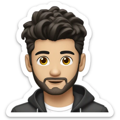 zayn malik with laptop sticker