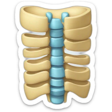 Coluna vertebral sticker