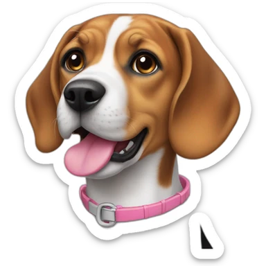 Female Beagle with pink collar sticker