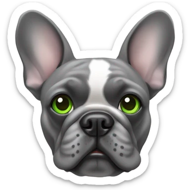 Gray French Bulldog with green eyes sticker