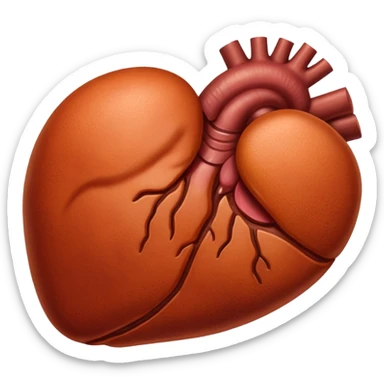 liver sticker