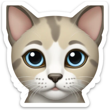 Thai breed adult cat with a light cream-brown body, dark gray nose and face, ears, and paws. sharp ears, and striking light blue eyes  sticker