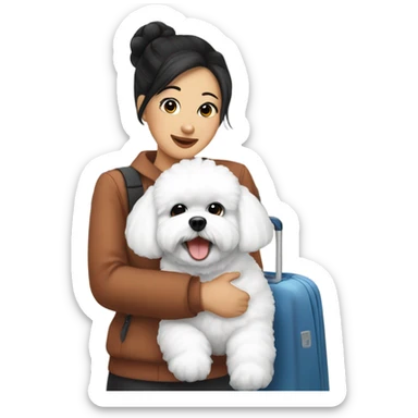 An Asian woman, with black hair in a bun, holding a cute and happy Bichon Frise at the airport  sticker