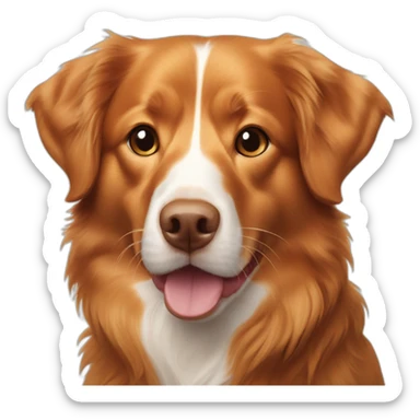 nova scotia duck tolling retriever sticker