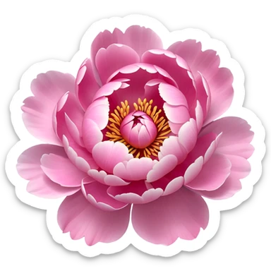 peony flower sticker