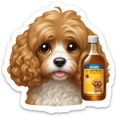 A cavapoo with light brown fur laying with a bottle of maple syrup next to her sticker