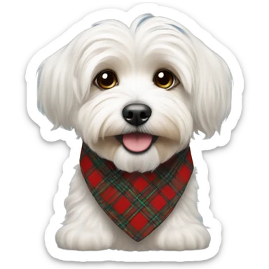 Havanese with tartan collar  sticker