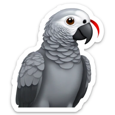 African grey parrot with red feather on his tail and not on his head with dark grey beak without red on his head  sticker