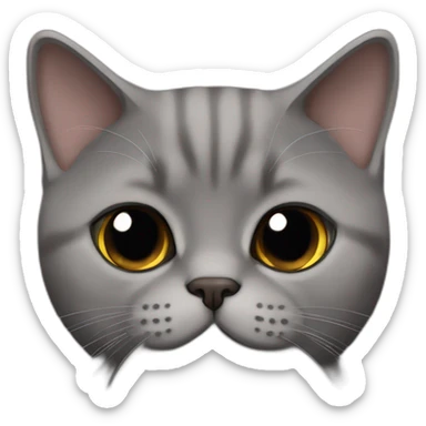 British shorthair cat dark brown color sticker