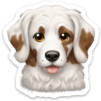 White Burna doodle with brown spot over eye and brown ears ￼ sticker