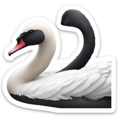 Black swan sticker