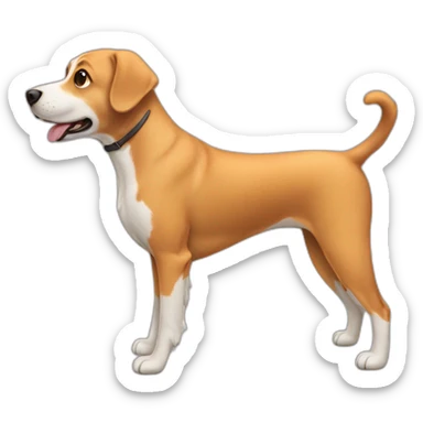 dog for a walk  sticker