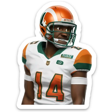 Miami hurricanes sticker