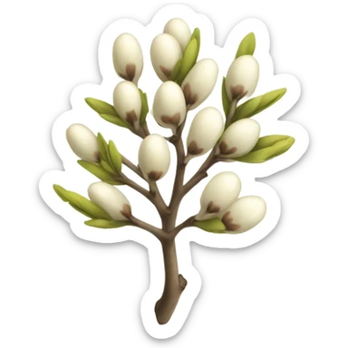pussy willow sticker