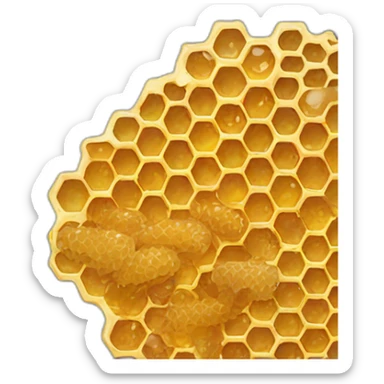 honey comb sticker
