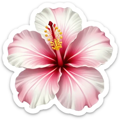 Ibisco bianco sticker
