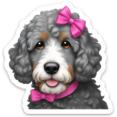 All grey Bernedoodle wearing a hot pink bow in hair sticker