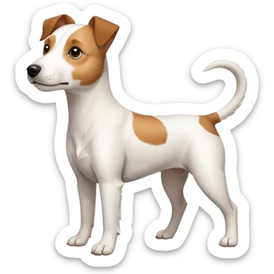 a full body slightly chubby white parson russell terrier looking dog the size of a kelpie with light brown long ears and a light brown patch on one eye and a large snout. the rest of the dog is completely whiteforward facing sticker