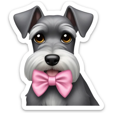 schnauzer pointy ears pink bow  sticker