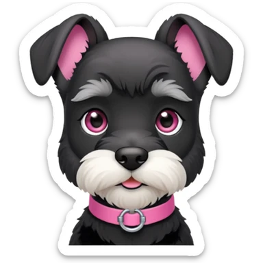 Miniature schnauzer black with pink collar sticker