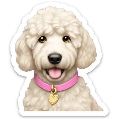 White cream mini golden doodle with pink collar princess sticker