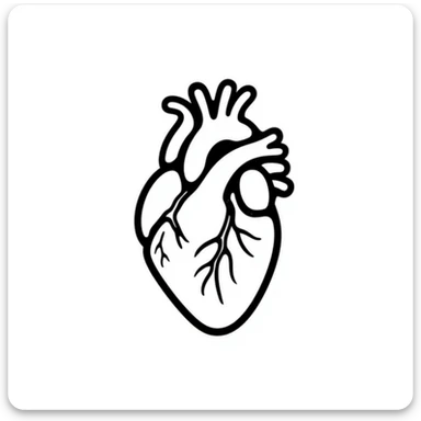 A heart drawn with hand-drawn lines, anatomical heart with chambers and arteries, medical diagram style with detailed internal structure sticker