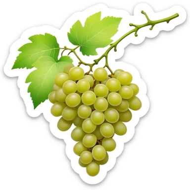 matcha colored grapes with matcha pastel colored leaves sticker