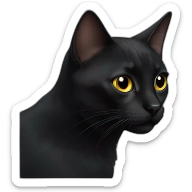 black cat sticker