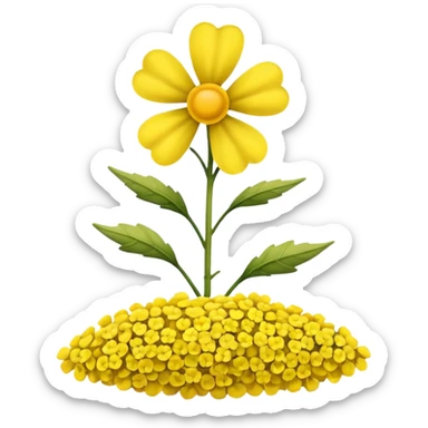 Rapeseed sticker