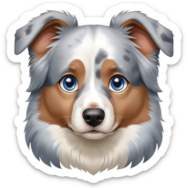 Blue Merle Australian shepherd one blue eye and one brown eye sticker