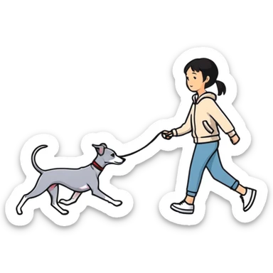 Asian girl walking an all grey Italian greyhound with no white nose, completely grey dog sticker