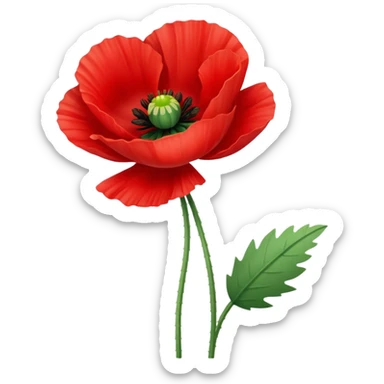 poppy flower sticker