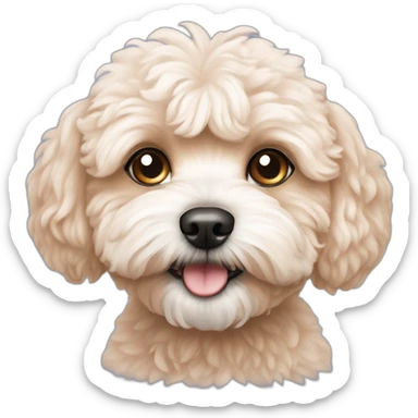 Maltipoo dog peach sticker