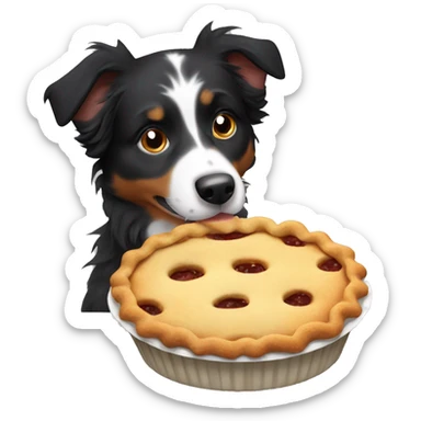Small black australian shepherd dog eating pie  sticker