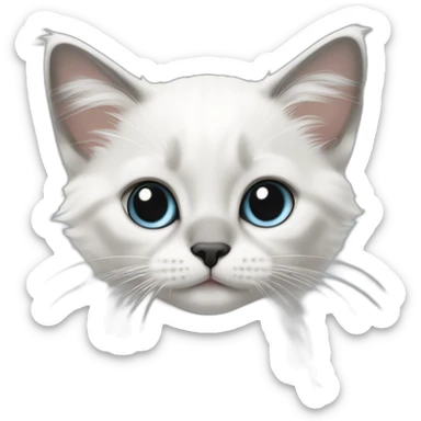 white ragdoll kitten with with darker ear tips sticker