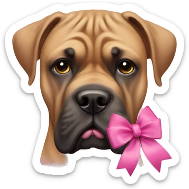 Bull mastiff with a pink bow sticker