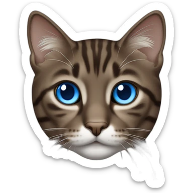 dark brown tabby cat and white blue eyes sticker
