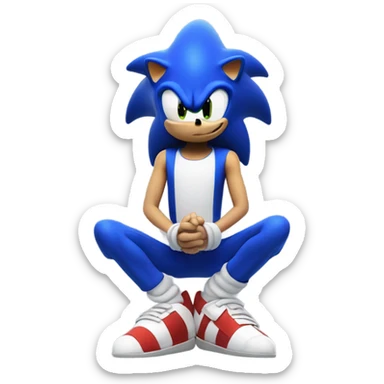 Sonic the hedgehog praying on his knees  sticker