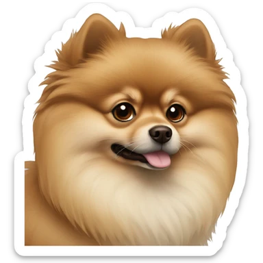 Brown beige cream dark snout pomeranian sticker