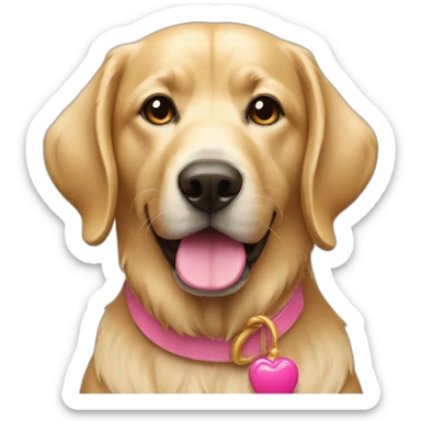 golden with pink nose sticker