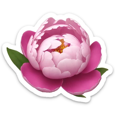 Peony flower sticker