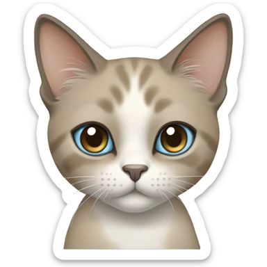 Thai breed cat with a light cream-brown body, dark gray nose and face, ears, and paws. sharp ears, and striking light blue eyes  sticker