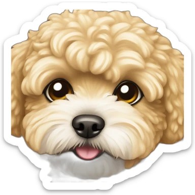 golden maltipoo ninja sticker