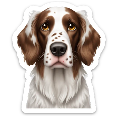 Beautiful White and Brown english setter with Brown ear  sticker