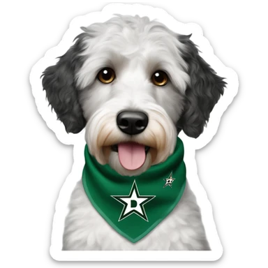 Aussiedoodle wearing a neck bandana with the NHL Dallas Stars hockey team logo sticker