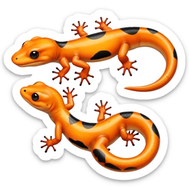 Salamander sticker